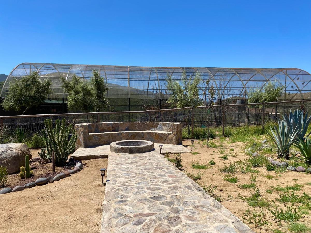 Coquenas Del Valle Valle de Guadalupe Exterior photo