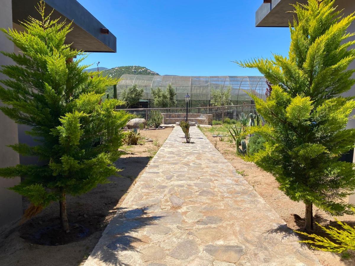 Coquenas Del Valle Valle de Guadalupe Exterior photo